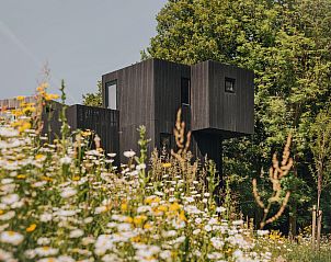 Unterkunft 3909132 - Ferienhaus Zuid Limburg - Geschakelde woning in Gulpen