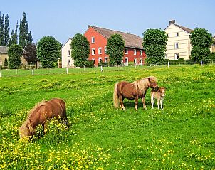 Guest house 3909145 - Holiday property Zuid Limburg - Vakantiehuis Bungalowpark Landsrade