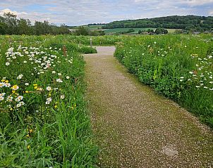 Guest house 3909147 - Holiday property Zuid Limburg - Geschakelde woning in Gulpen