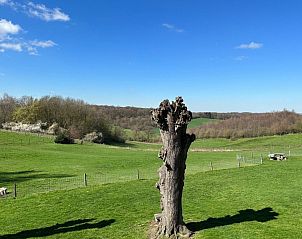 Unterkunft 3909154 - Ferienhaus Zuid Limburg - Vakantiehuis Bungalowpark Landsrade - Geschakelde Bungalow 7