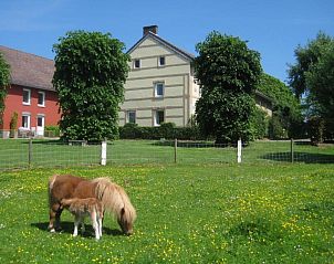 Unterkunft 3909158 - Ferienhaus Zuid Limburg - Vakantiehuis Bungalowpark Landsrade