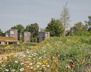 Verblijf 3909172 - Vakantiewoning Zuid Limburg - Hilltop Lodge 4