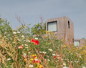 Verblijf 3909172 - Vakantiewoning Zuid Limburg - Hilltop Lodge 4