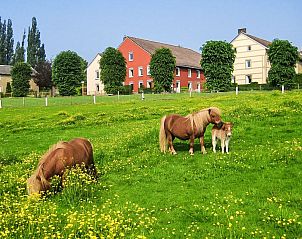 Unterkunft 390925 - Ferienhaus Zuid Limburg - Vakantiehuis Vrijstaande 10 persoons