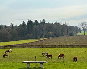 Unterkunft 390925 - Ferienhaus Zuid Limburg - Vakantiehuis Vrijstaande 10 persoons
