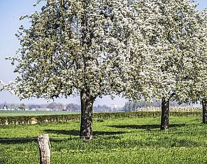 Guest house 390926 - Holiday property Zuid Limburg - Vakantiehuis Bungalowpark Landsrade