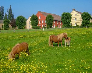 Unterkunft 390933 - Ferienhaus Zuid Limburg - Vakantiehuis Bungalowpark Landsrade