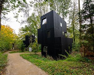 Verblijf 390950 - Vakantiewoning Zuid Limburg - Treehouse 6