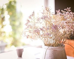 Unterkunft 3910002 - Ferienhaus Zuid Limburg - Vakantiehuis in Moorveld