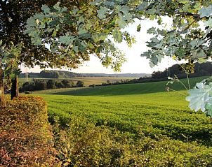 Groen landschap omgeven door bomen bij Domein Hellebeuk, vakantiehuis Valkenburg, Zuid Limburg.