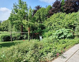 Groene tuin met veel privacy bij Domein Hellebeuk, vakantiehuis in Valkenburg, Zuid Limburg.