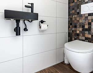 Stijlvolle toiletruimte in Vakantiehuisje in Wijlre, Zuid-Limburg, met moderne inrichting.