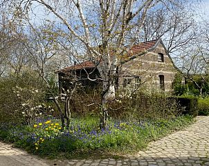 Unterkunft 391307 • Ferienhaus Zuid Limburg • Vakantiehuisje in Wijlre 