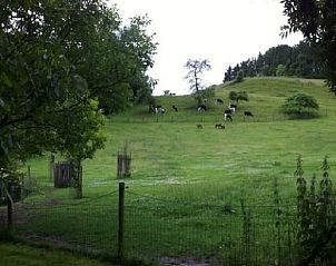 Groene weiden rondom Vakantiehuis in Wijlre, Zuid Limburg, ideaal voor natuurliefhebbers.