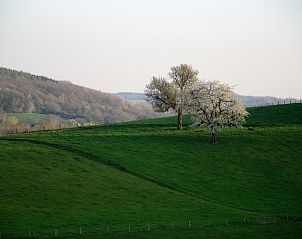 Adembenemend landschap rondom Vakantiehuisje Clermont in Slenaken, Zuid Limburg met bloeiende bomen.