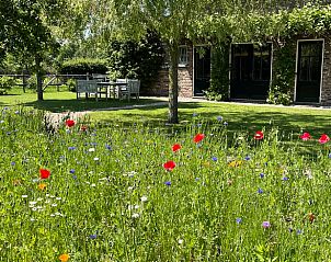 Bloeiende tuin bij Huisje in Slenaken vakantiehuis in Zuid Limburg.