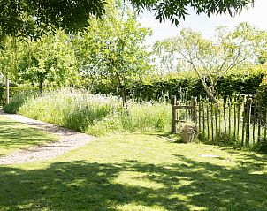 Schaduwrijke tuin bij Huisje in Slenaken vakantiehuis in Limburg.