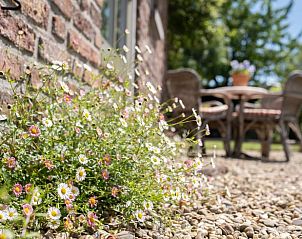 Bloemen langs pad bij Huisje in Slenaken vakantiehuis in Zuid Limburg.