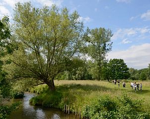 Schne Natur rund um das Ferienhaus in Epen, Sdlimburg, ideal fr Wanderungen.