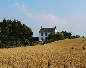 Cottage in Epen, Ferienhaus in Sdlimburg inmitten goldener Getreidefelder.