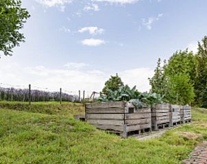 Kchengarten im Ferienhaus in Epen, ideal fr Naturliebhaber in Limburg.