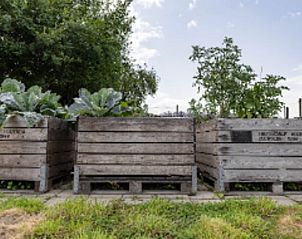 Gemsetonnen im Garten des Ferienhauses in Epen, Sdlimburg.