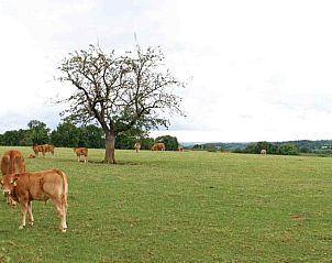 Modernes Badezimmer im Ferienhaus L022-12, Epen, Sdlimburg mit luxuriser Ausstattung.