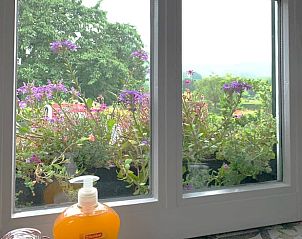 Blhende Fensterbank in Cottage in Epen, Sdlimburg, Ferienhaus mit bunten Blumen und Blick auf die Natur.