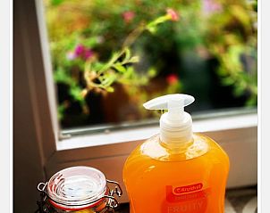 Detail der Kche eines Ferienhauses in Epen, Sdlimburg, mit Handseife und bunten Blumen im Hintergrund.