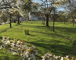 Unterkunft 392209 - Ferienhaus Zuid Limburg - Huisje in Banholt