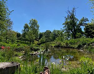Unterkunft 392209 - Ferienhaus Zuid Limburg - Huisje in Banholt