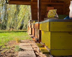 Unterkunft 392209 - Ferienhaus Zuid Limburg - Huisje in Banholt