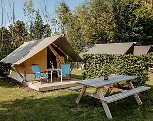 Unterkunft 392806 - Zelthaus Zuid Limburg - Safari Trekkerstent