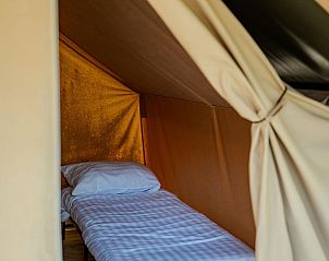 Unterkunft 392806 - Zelthaus Zuid Limburg - Safari Trekkerstent