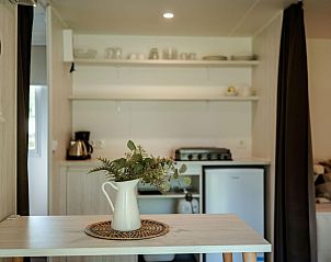 Unterkunft 392807 - Zelthaus Zuid Limburg - Coco Sweet