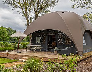 Guest house 392817 - Holiday property Zuid Limburg - �Glamping Lodge Jasmijn�