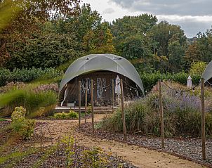 Guest house 392817 - Holiday property Zuid Limburg - �Glamping Lodge Jasmijn�