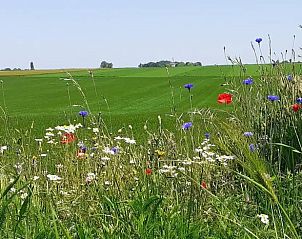 Guest house 394203 • Holiday property Zuid Limburg • Vakantiehuis in Margraten 