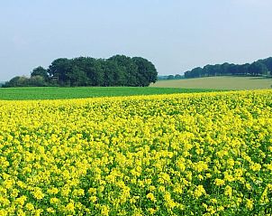 Verblijf 395208 - Vakantiewoning Zuid Limburg - Huisje in Mook