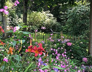 Verblijf 395208 - Vakantiewoning Zuid Limburg - Huisje in Mook
