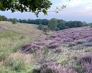 Verblijf 395208 - Vakantiewoning Zuid Limburg - Huisje in Mook