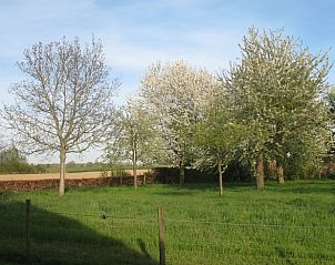 Bloeiende bomen in de tuin van Vakantiehuisje in Wittem, Zuid Limburg.