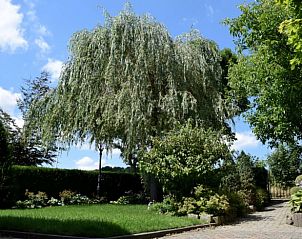 Restful garden at Holiday home in Gulpen - Wittem, surrounded by green nature in South Limburg, ideal for relaxation.