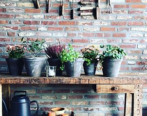 Unterkunft 396304 - Ferienhaus Zuid Limburg - Vakantiehuisje in Scheulder