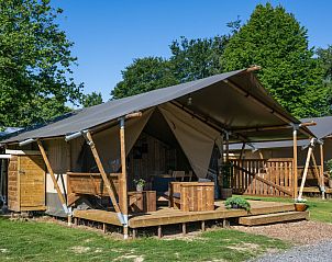 Unterkunft 396903 • Zelthaus Zuid Limburg • Safaritent incl. sanitair 
