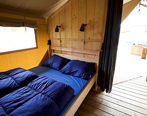 Unterkunft 396909 - Zelthaus Zuid Limburg - Glampingtent 4p