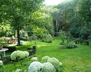 Uitgestrekte groene tuin bij Vakantiehuis in Beutenaken, Zuid Limburg, perfect voor natuurliefhebbers.