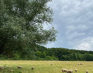 Unterkunft 398403 - Ferienhaus Zuid Limburg - Vakantiehuis in Beutenaken