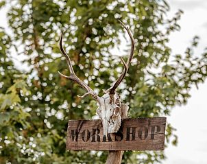 Unieke decoratie met hertengewei bij Huisje in Wahlwiller, vakantiehuis in Zuid Limburg.