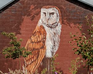 Muurschildering van een uil bij Huisje in Wahlwiller, vakantiehuis in Zuid Limburg, met artistieke flair.